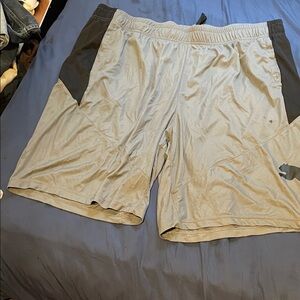 Puma Men's Athletic Shorts in Light Gray and Dark Gray